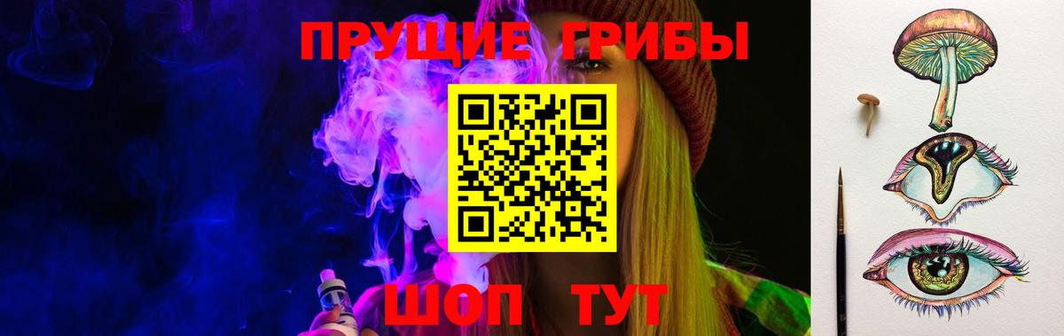 Псилоцибиновые грибы мицелий Губкин